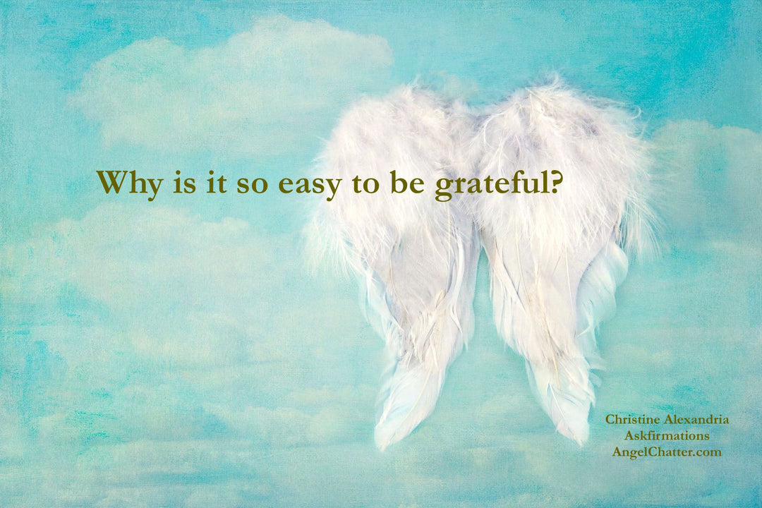 Attitude is Gratitude!