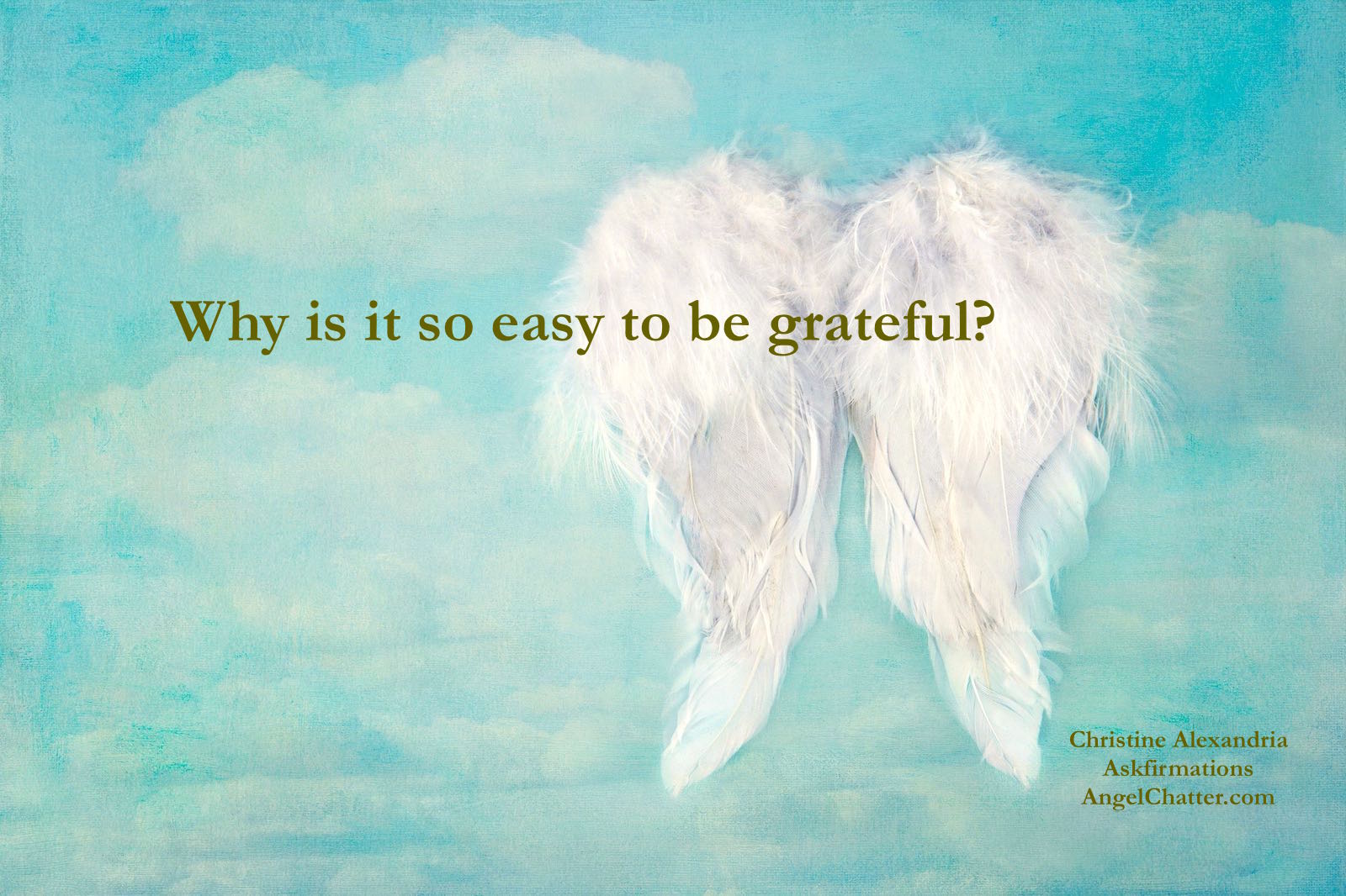 Attitude is Gratitude!