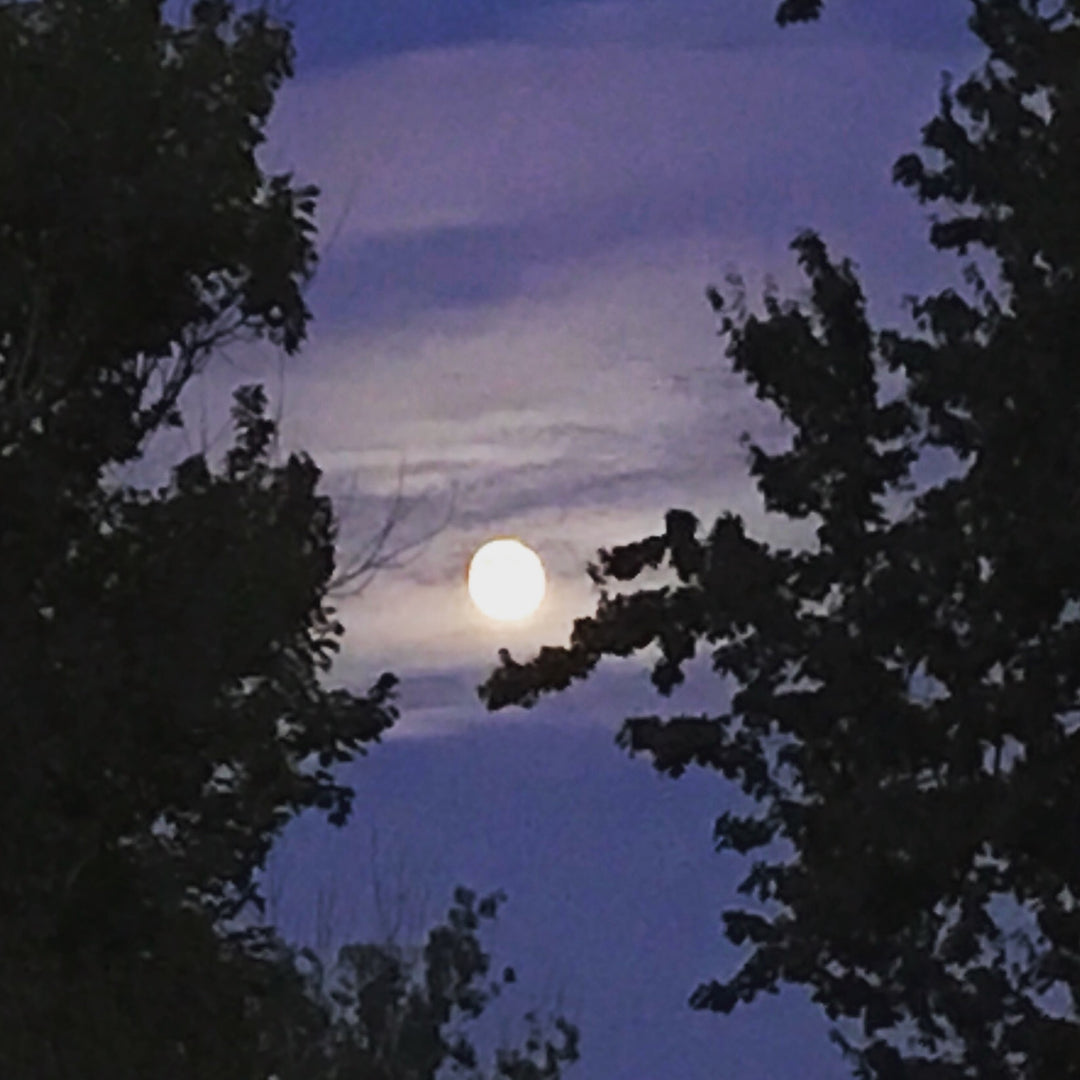 Full Moon, Lion's Gate and Solar Eclipse... OH MY!