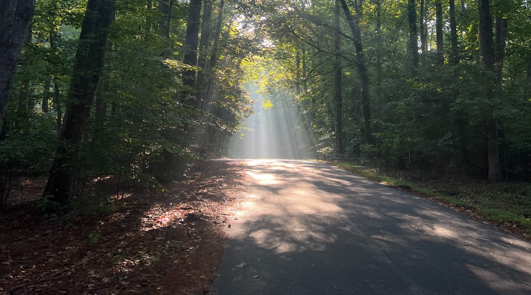 The Burnout Healing Framework