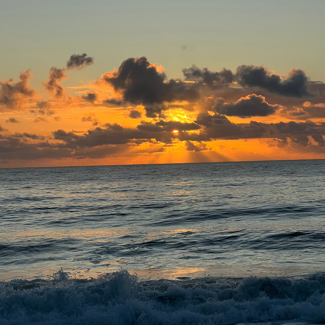 BE Held, Mentoring Program with Christine Alexandria