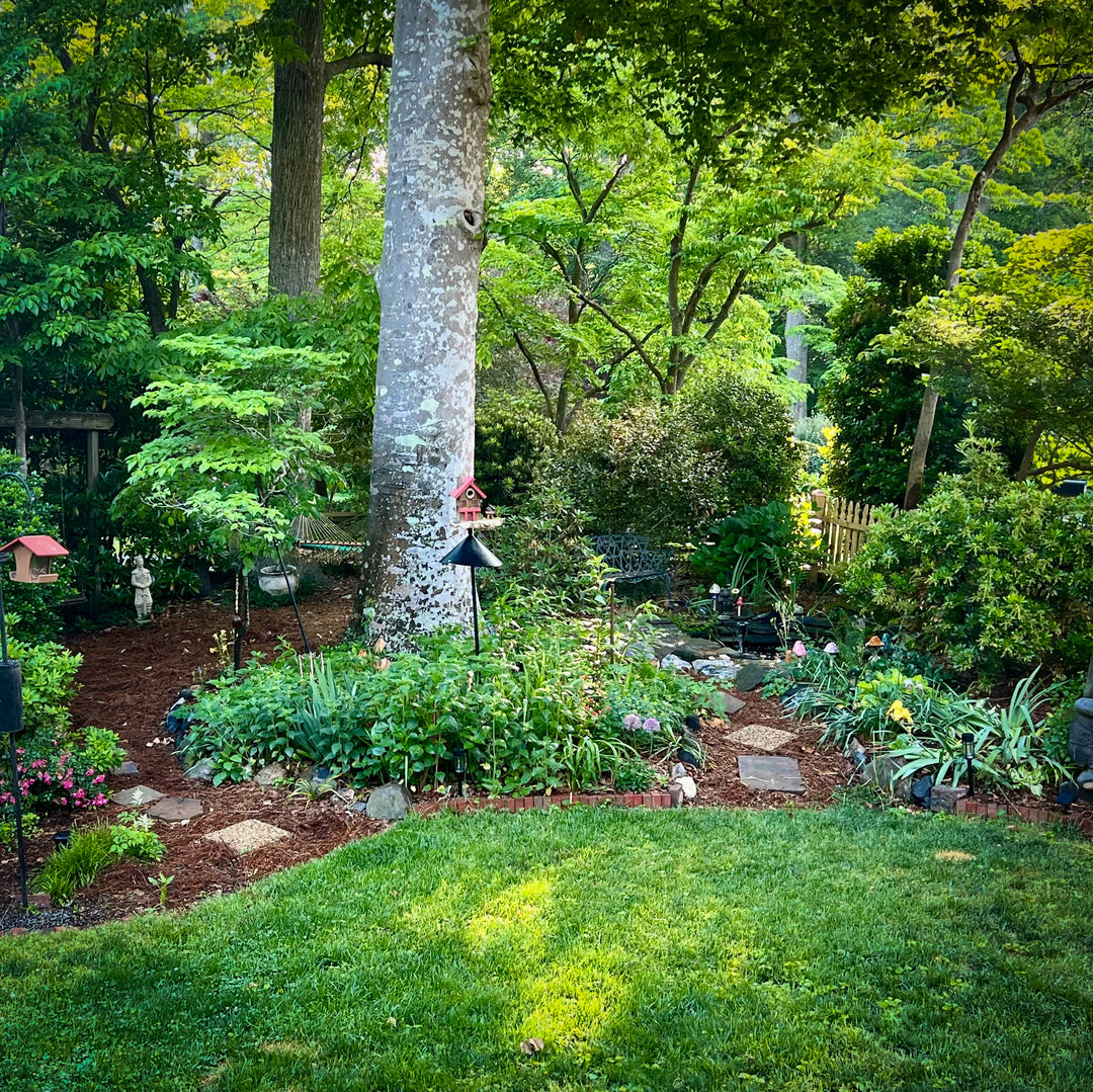 Woodland garden with large tree and hammock at private weekend retreat in Virginia